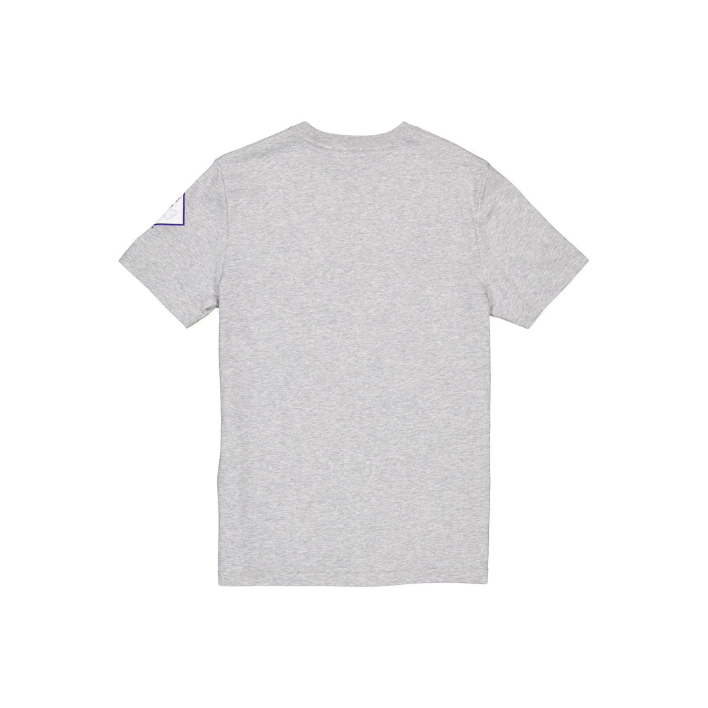 Detroit Tigers City Connect Gray T-Shirt