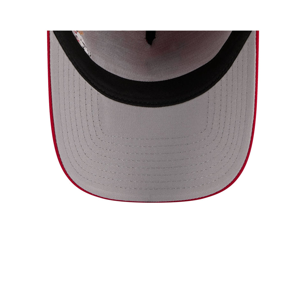 Washington Nationals Looney Tunes 9FORTY A-Frame Snapback Hat