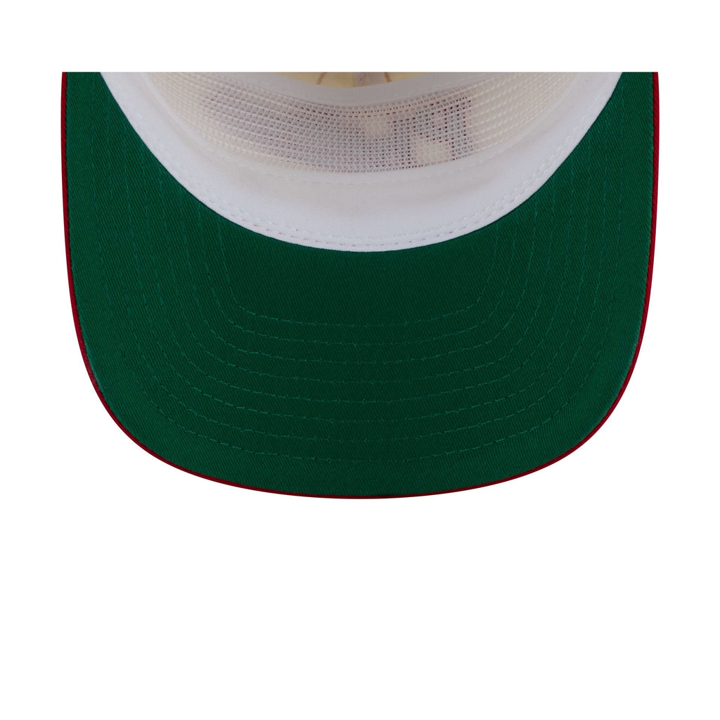 Philadelphia Phillies Chrome White Pinstripe 19TWENTY Snapback Hat